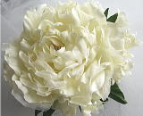 Artificial flower Making Class