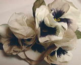Artificial flower Making Class